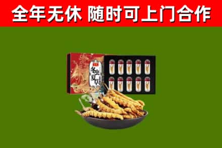 色尼区回收冬虫夏草价格